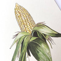 Corn Cob Greeting Card