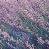 Bedtime Story Candle