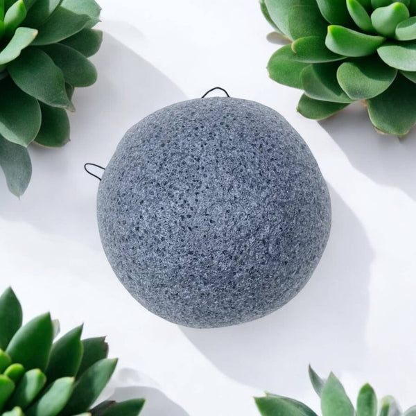 A round charcoal biodegradable konjac sponge sits against a white background with succulent leaves showing in each corner.