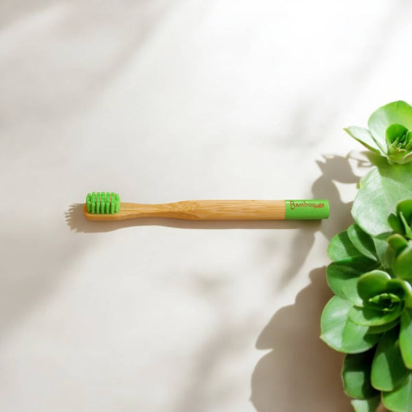 A kids bamboo toothbrush with green bristles sits against a white background near some succulent plants.