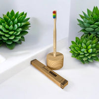A bamboo toothbrush with rainbow bristles sits in a bamboo stand against a white background with succulents nearby.