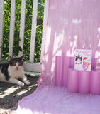 Happy Kitty Birthday Vibes Greeting Card