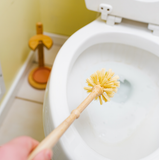 Plant Based Bamboo & Sisal Toilet Brush
