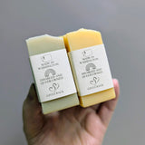 Cucumber Melon Seasonal Shea Butter Soap