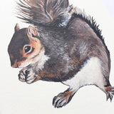 Squirrel Greeting Card
